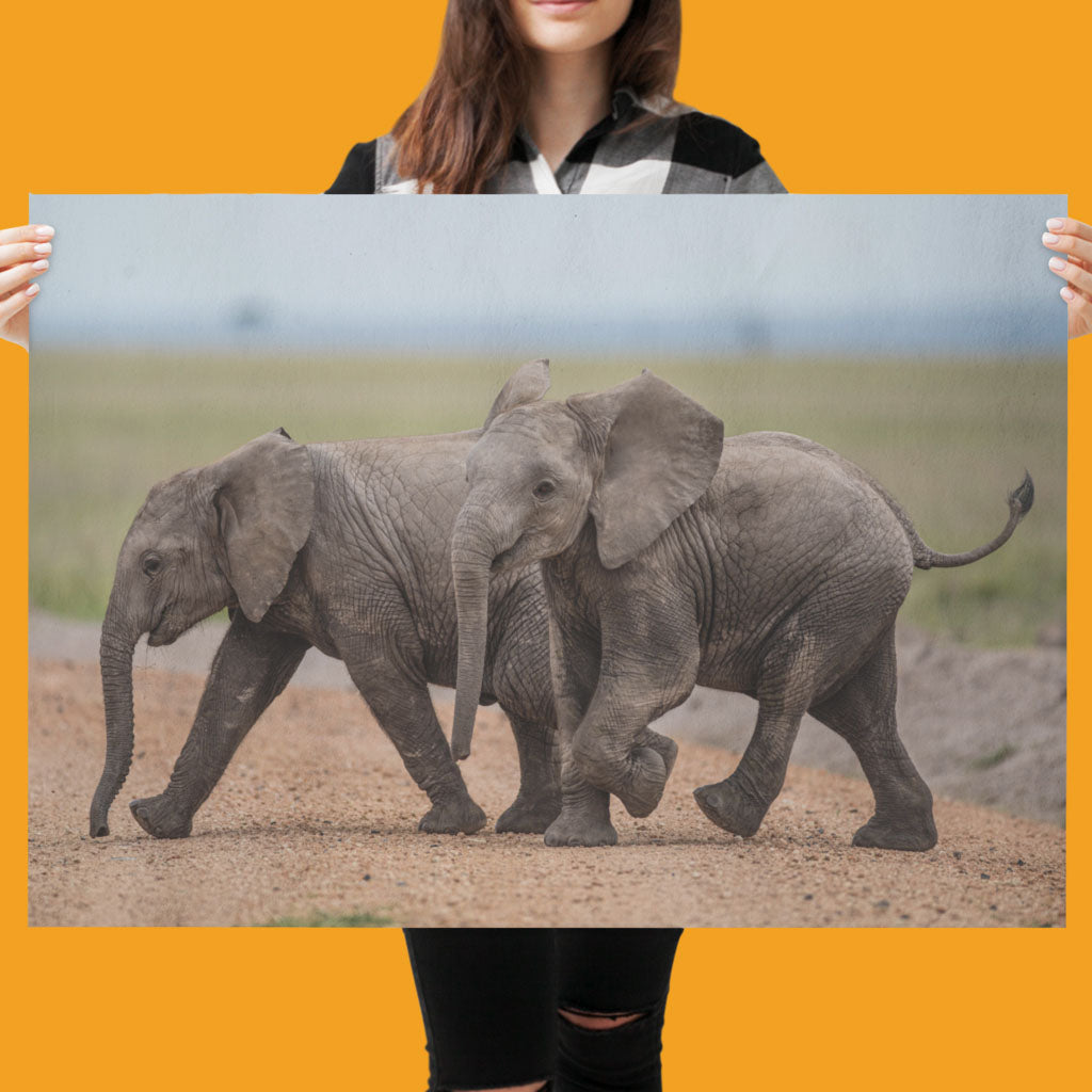 New Beginnings Elephant Calf Art Print by George Logan