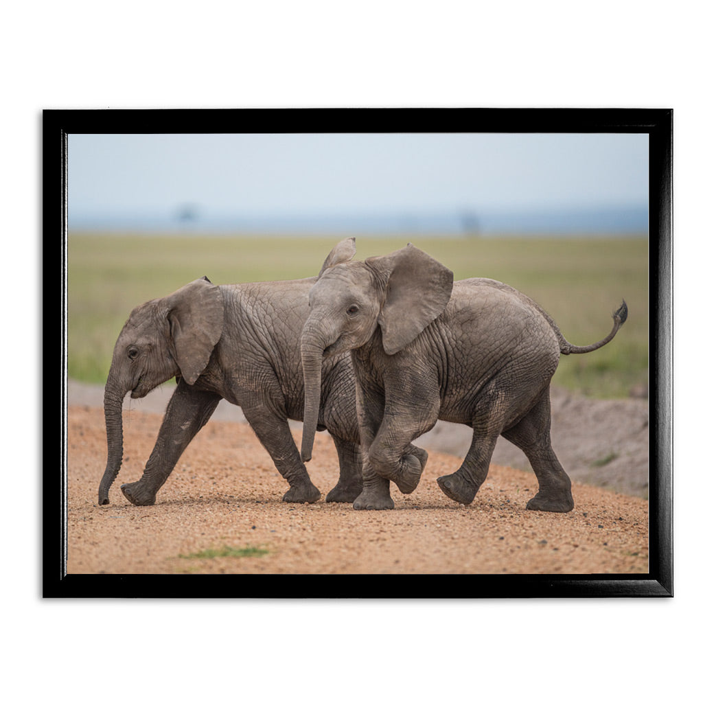 New Beginnings Elephant Calf Art Print by George Logan