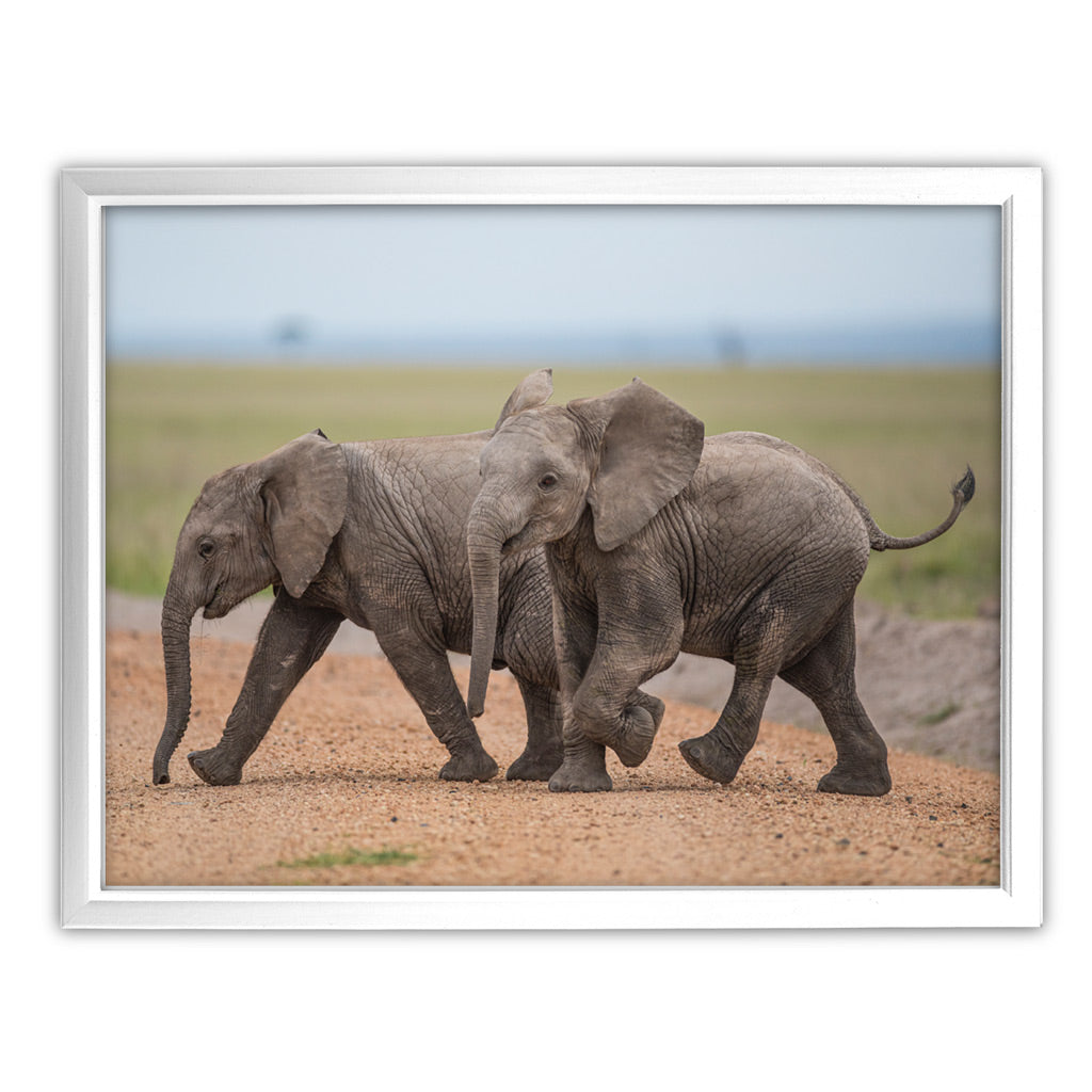 New Beginnings Elephant Calf Art Print by George Logan