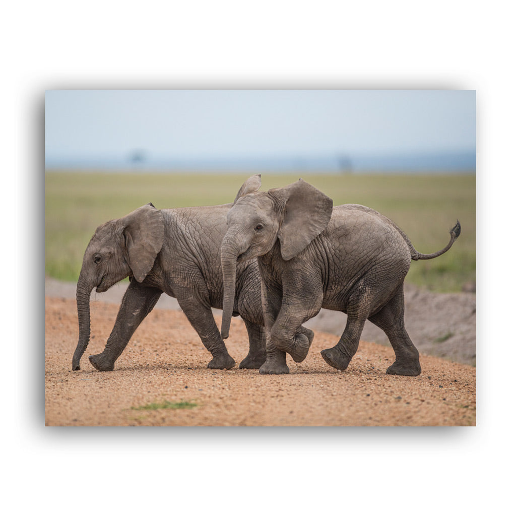 New Beginnings Elephant Calf Art Print by George Logan