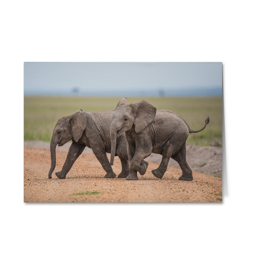 Born Free Baby Elephant Greeting Cards - Pack of 6