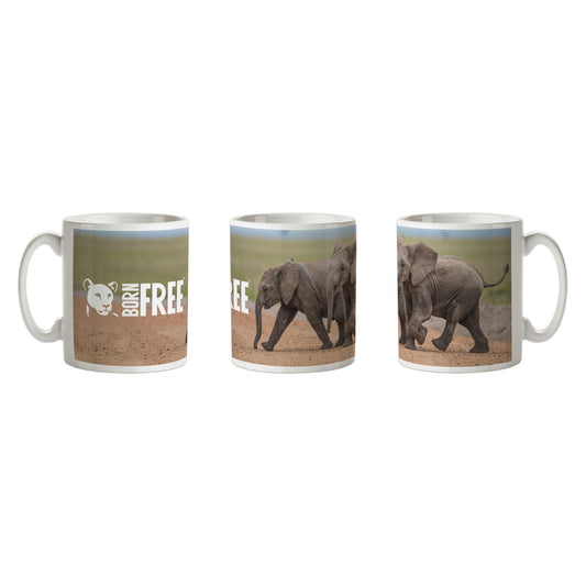 New Beginnings Elephant Calf Mug by George Logan