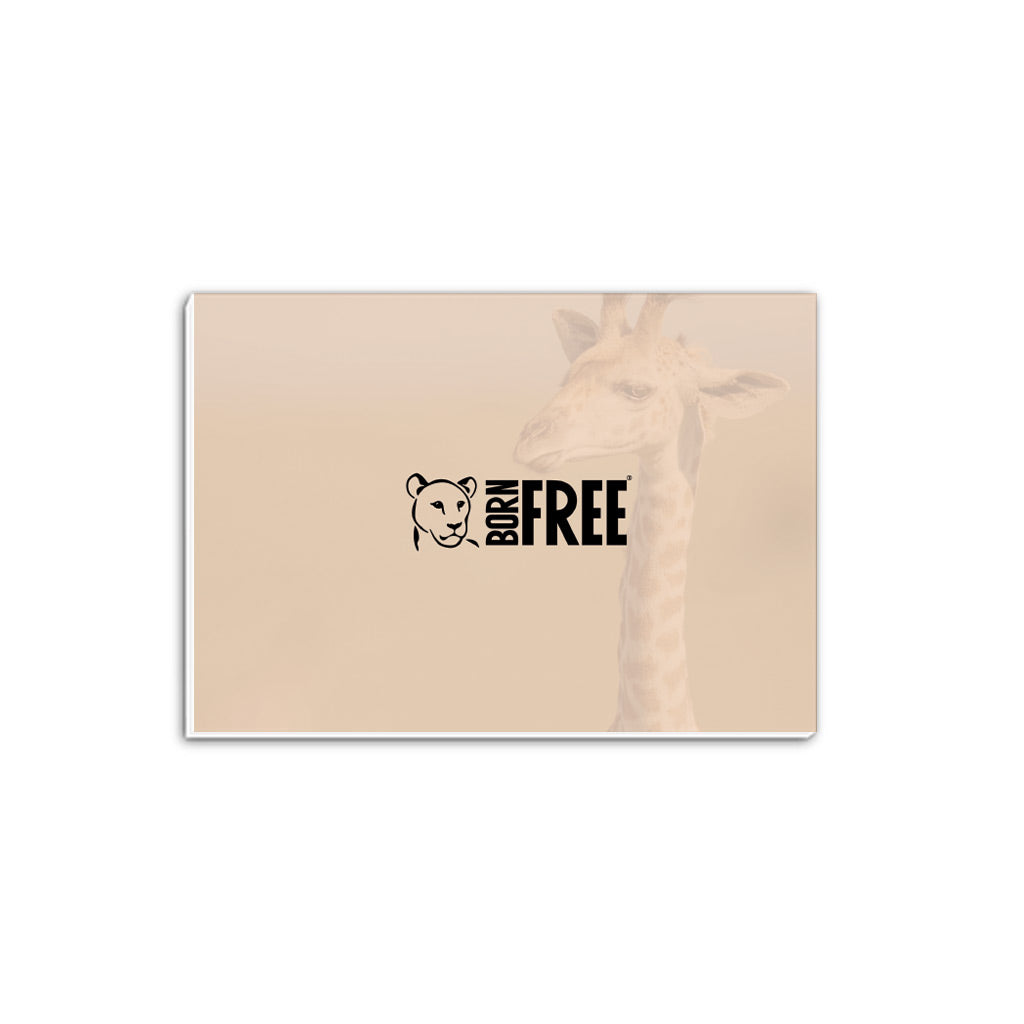 New Beginnings Giraffe Calf A5 Notepad by George Logan