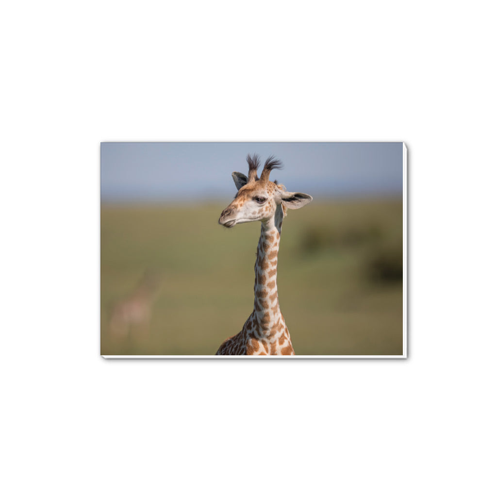 New Beginnings Giraffe Calf A5 Notepad by George Logan