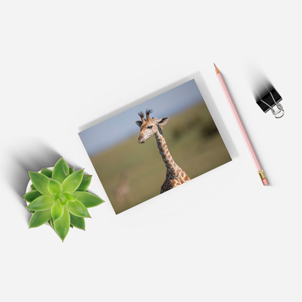 New Beginnings Giraffe Calf A5 Notepad by George Logan