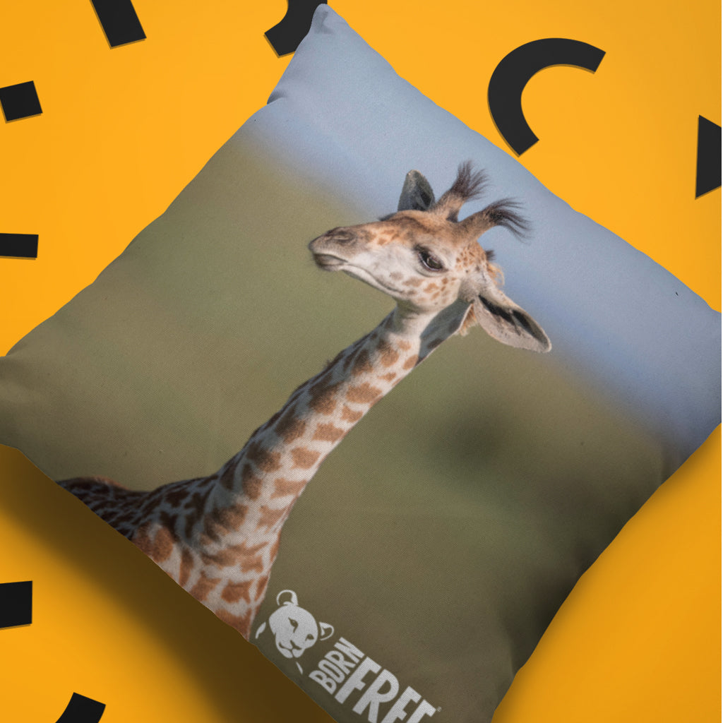 New Beginnings Giraffe Calf Organic Cushion by George Logan