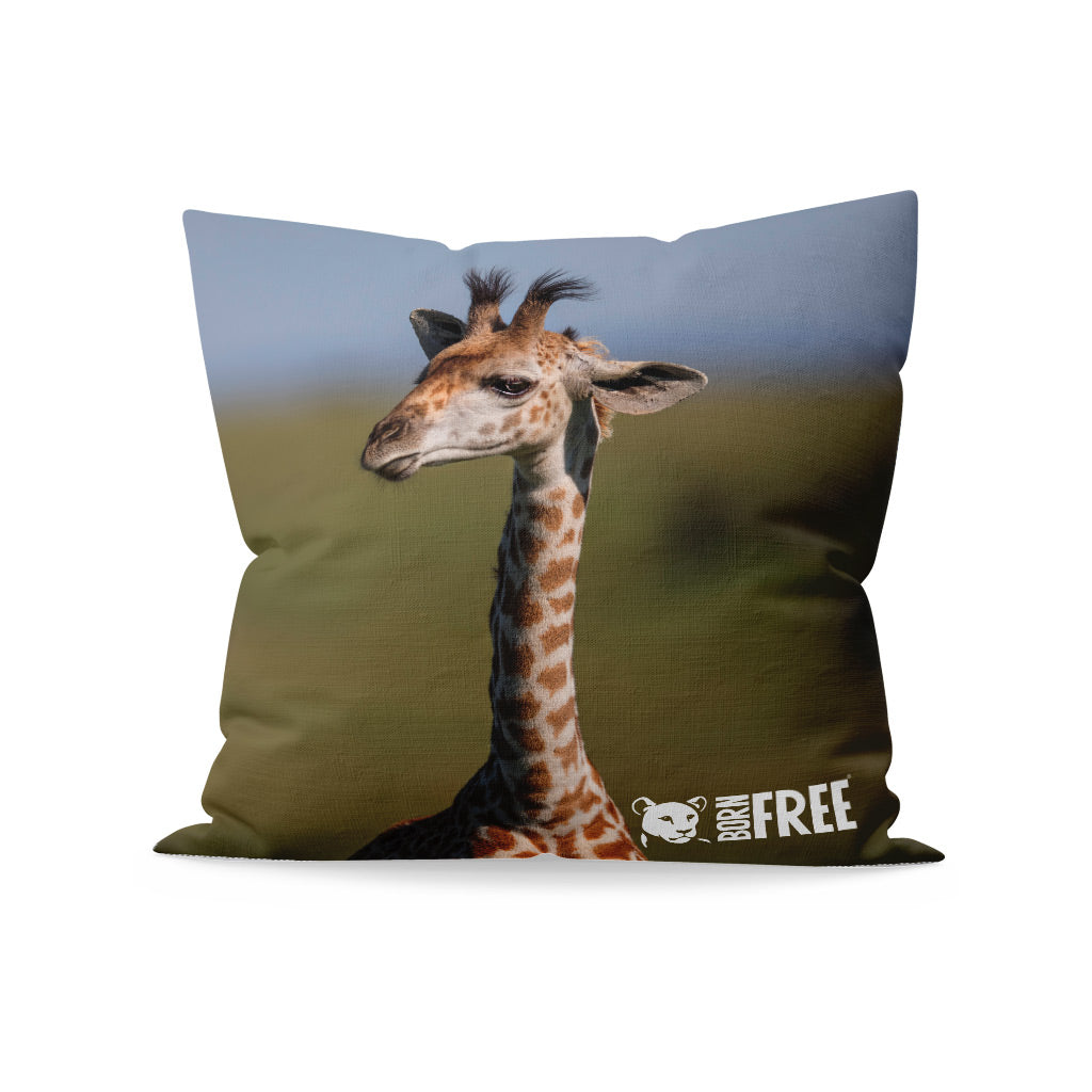 New Beginnings Giraffe Calf Organic Cushion by George Logan