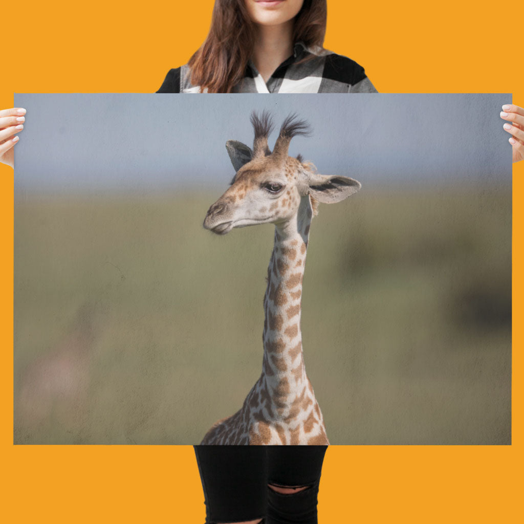 New Beginnings Giraffe Calf Art Print by George Logan