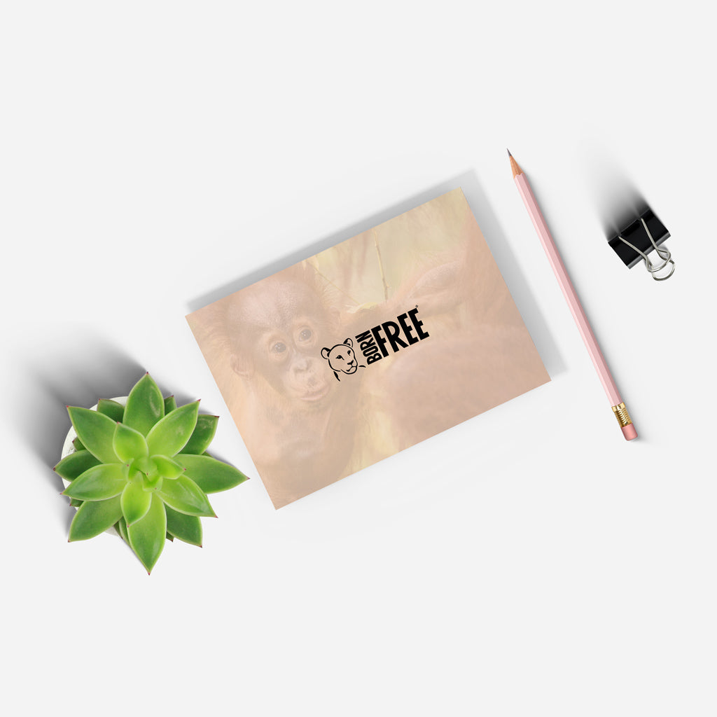 New Beginnings Baby Orangutan A5 Notepad