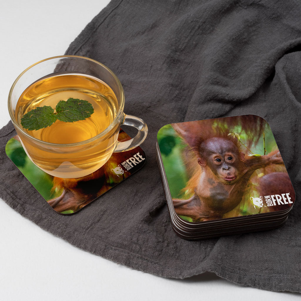 New Beginnings Baby Orangutan Coaster
