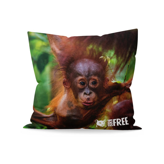 New Beginnings Baby Orangutan Organic Cushion