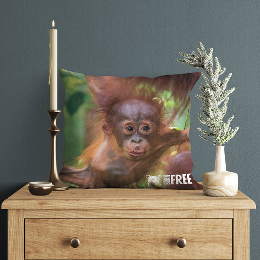 New Beginnings Baby Orangutan Organic Cushion