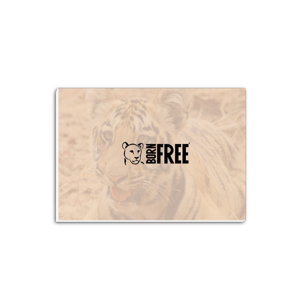 New Beginnings Tiger Cub A5 Notepad