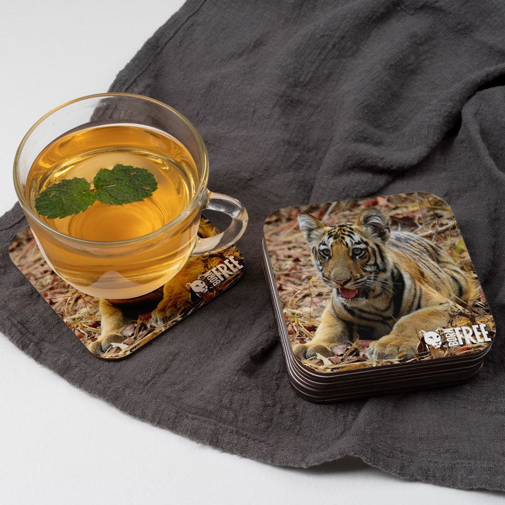 New Beginnings Tiger Cub Coaster
