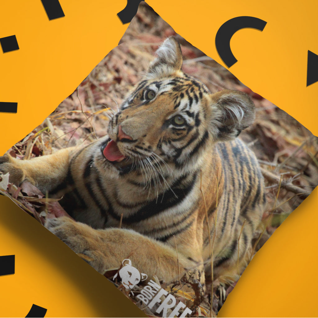 New Beginnings Tiger Cub Organic Cushion