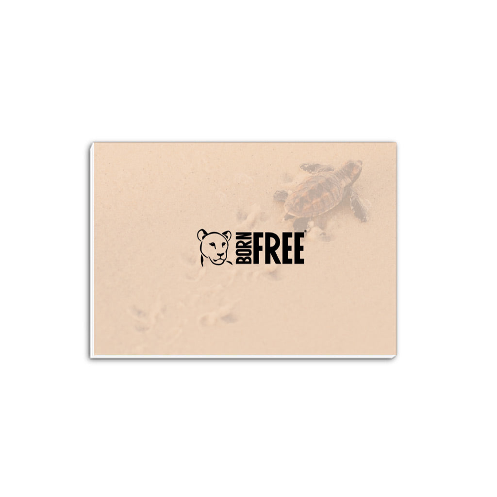 New Beginnings Baby Turtle A5 Notepad