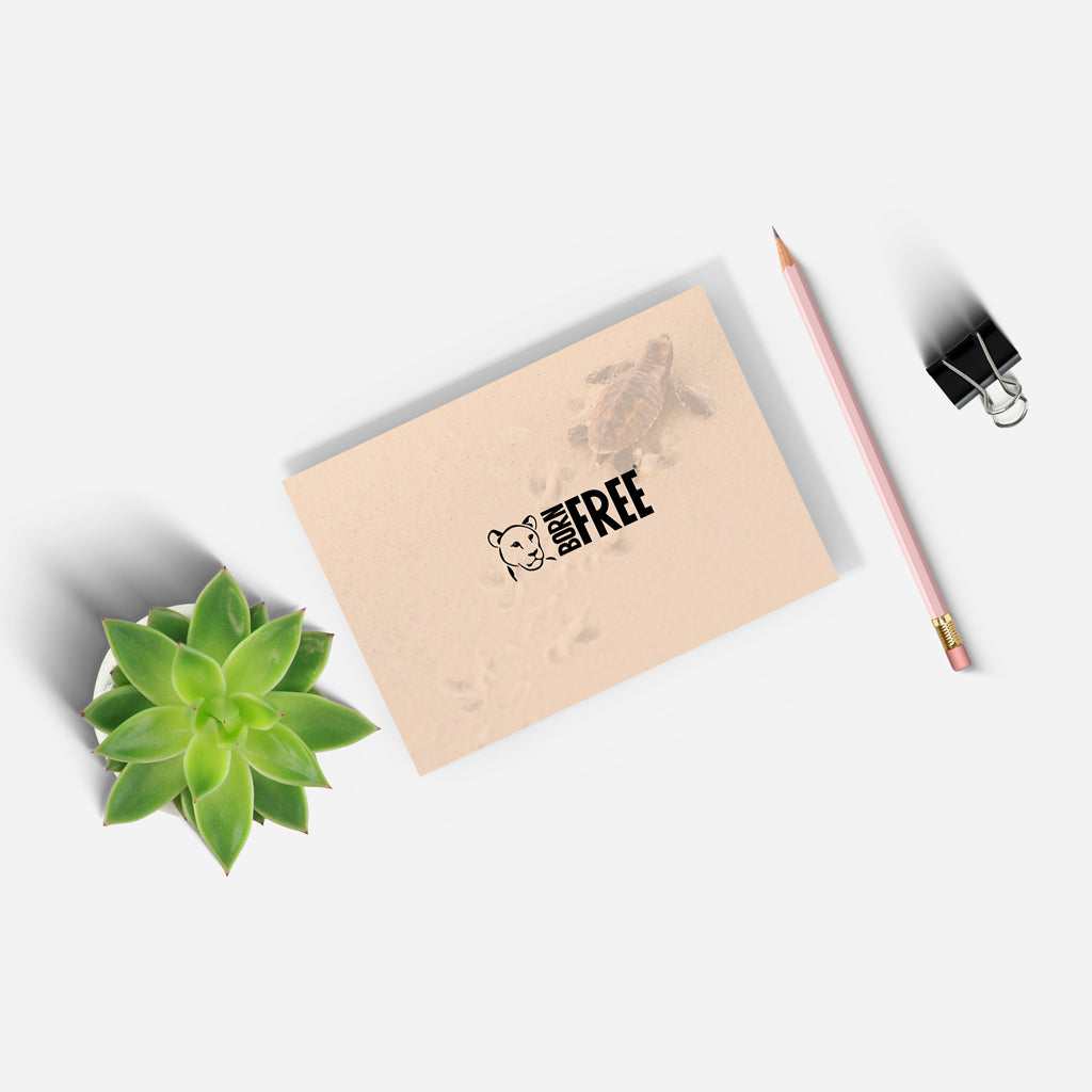 New Beginnings Baby Turtle A5 Notepad