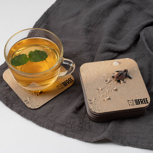 Born Free Baby Turtle Coaster