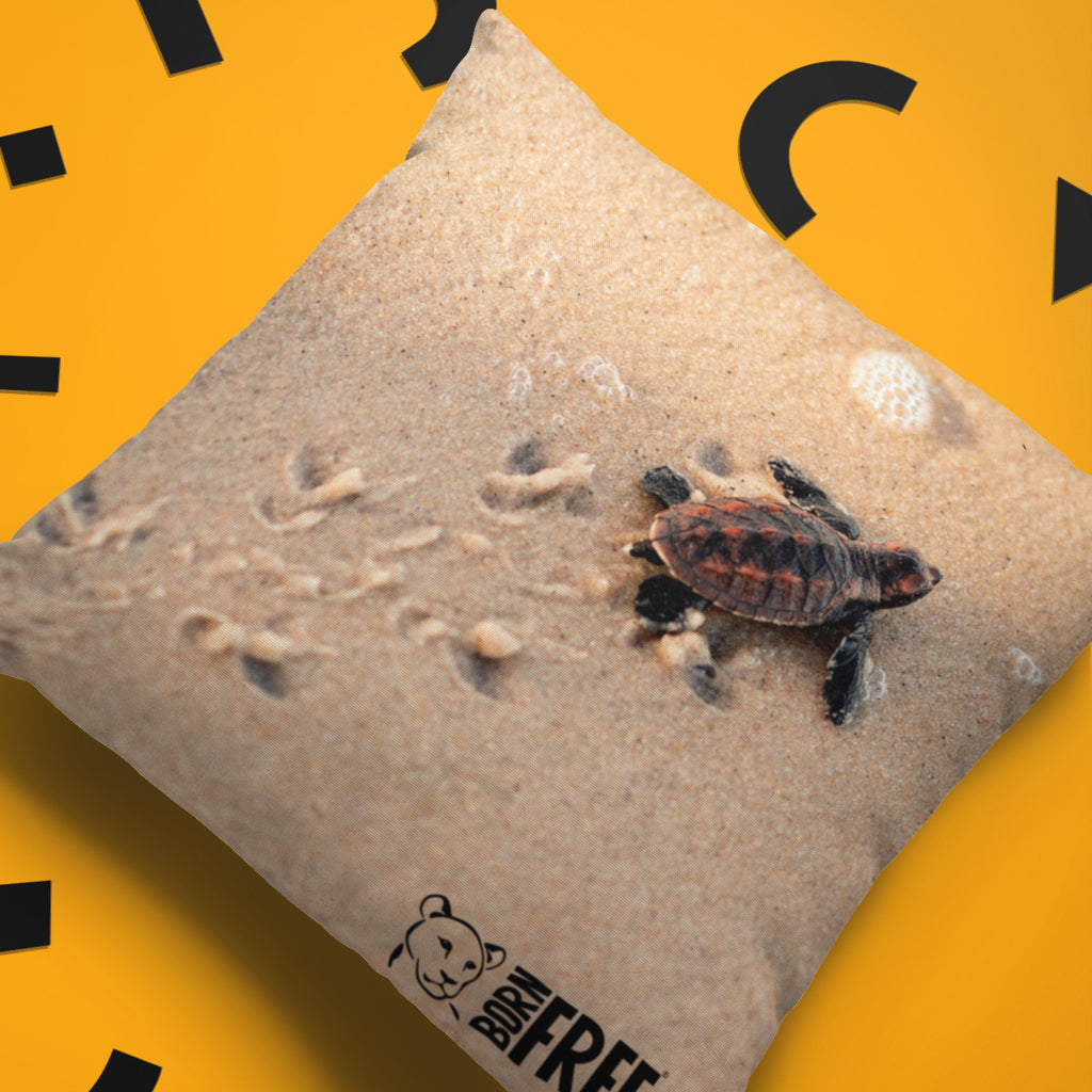 New Beginnings Baby Turtle Organic Cushion