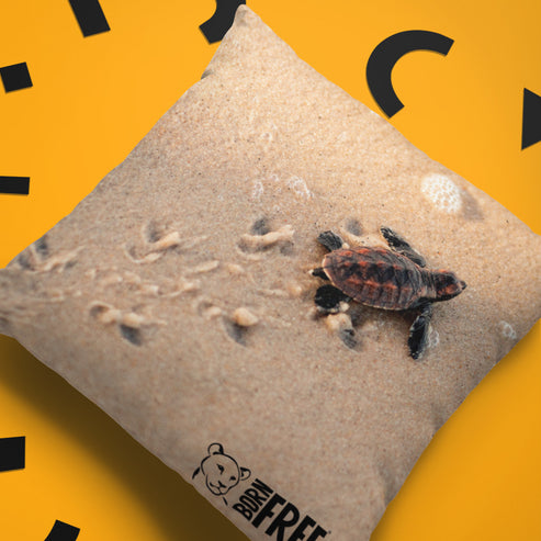 Born Free Baby Turtle Organic Cushion