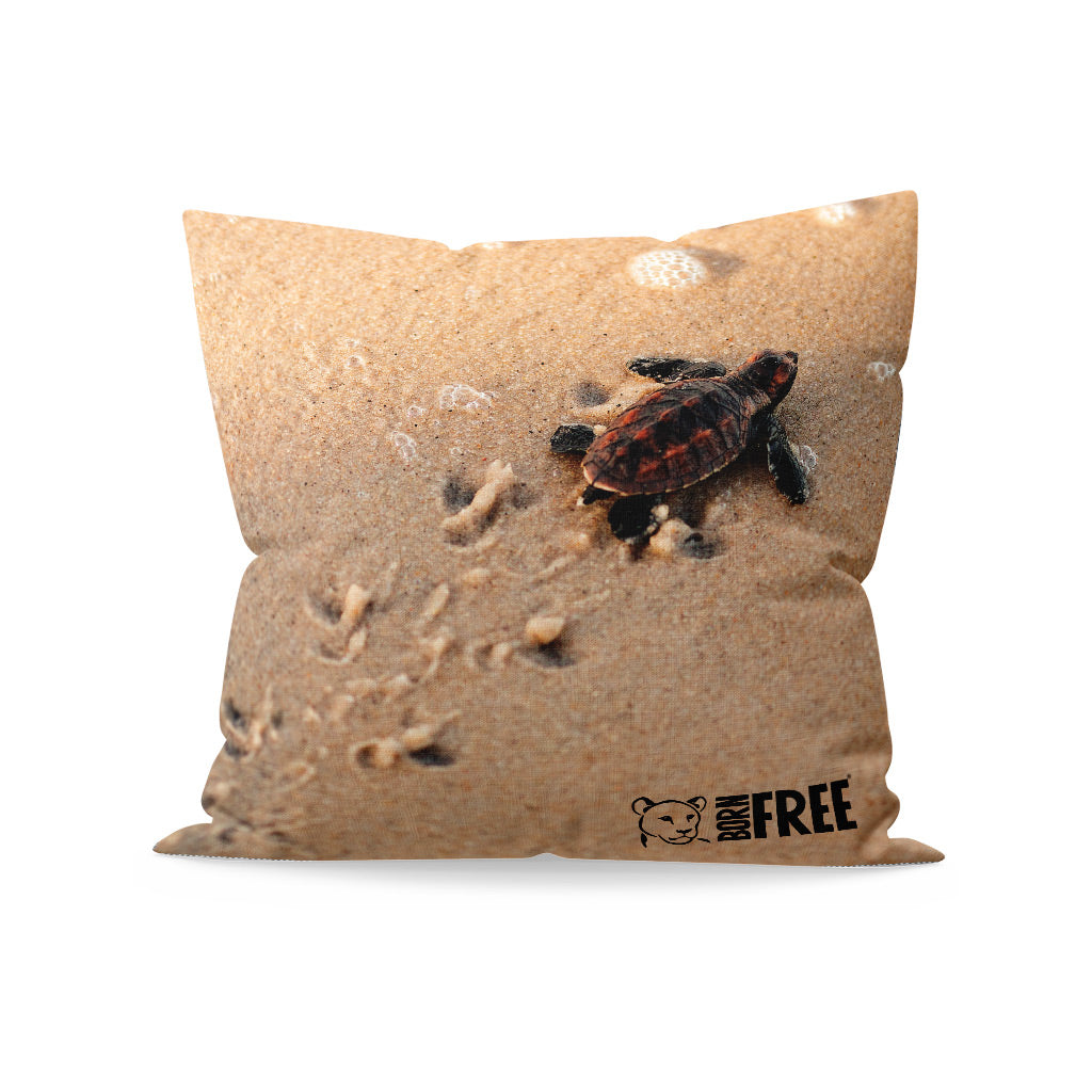 New Beginnings Baby Turtle Organic Cushion