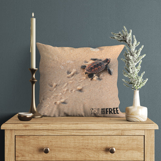 New Beginnings Baby Turtle Organic Cushion