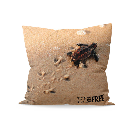 New Beginnings Baby Turtle Organic Cushion
