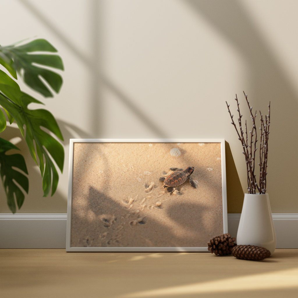 New Beginnings Baby Turtle Art Print