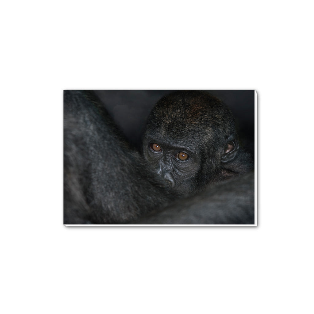 New Beginnings Baby Ape A5 Notepad by George Logan