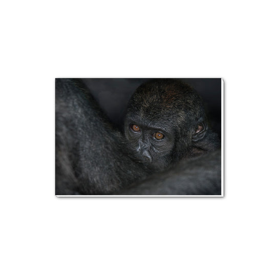 New Beginnings Baby Ape A5 Notepad by George Logan