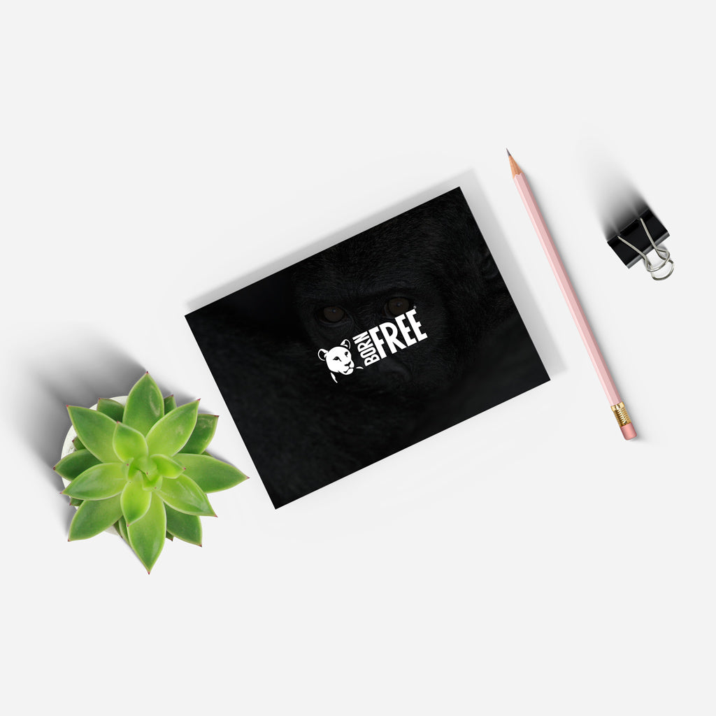 New Beginnings Baby Ape A5 Notepad by George Logan