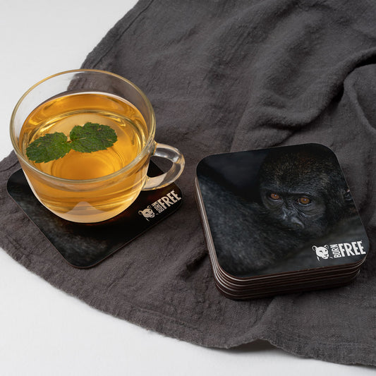 New Beginnings Baby Ape Coaster by George Logan