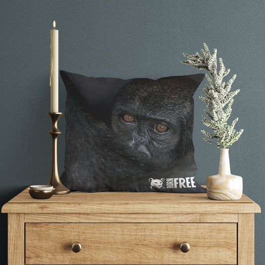 New Beginnings Baby Ape Organic Cushion by George Logan