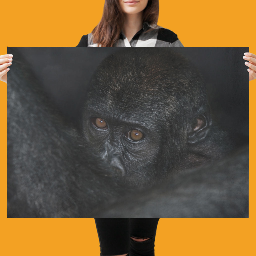 New Beginnings Baby Ape Art Print by George Logan