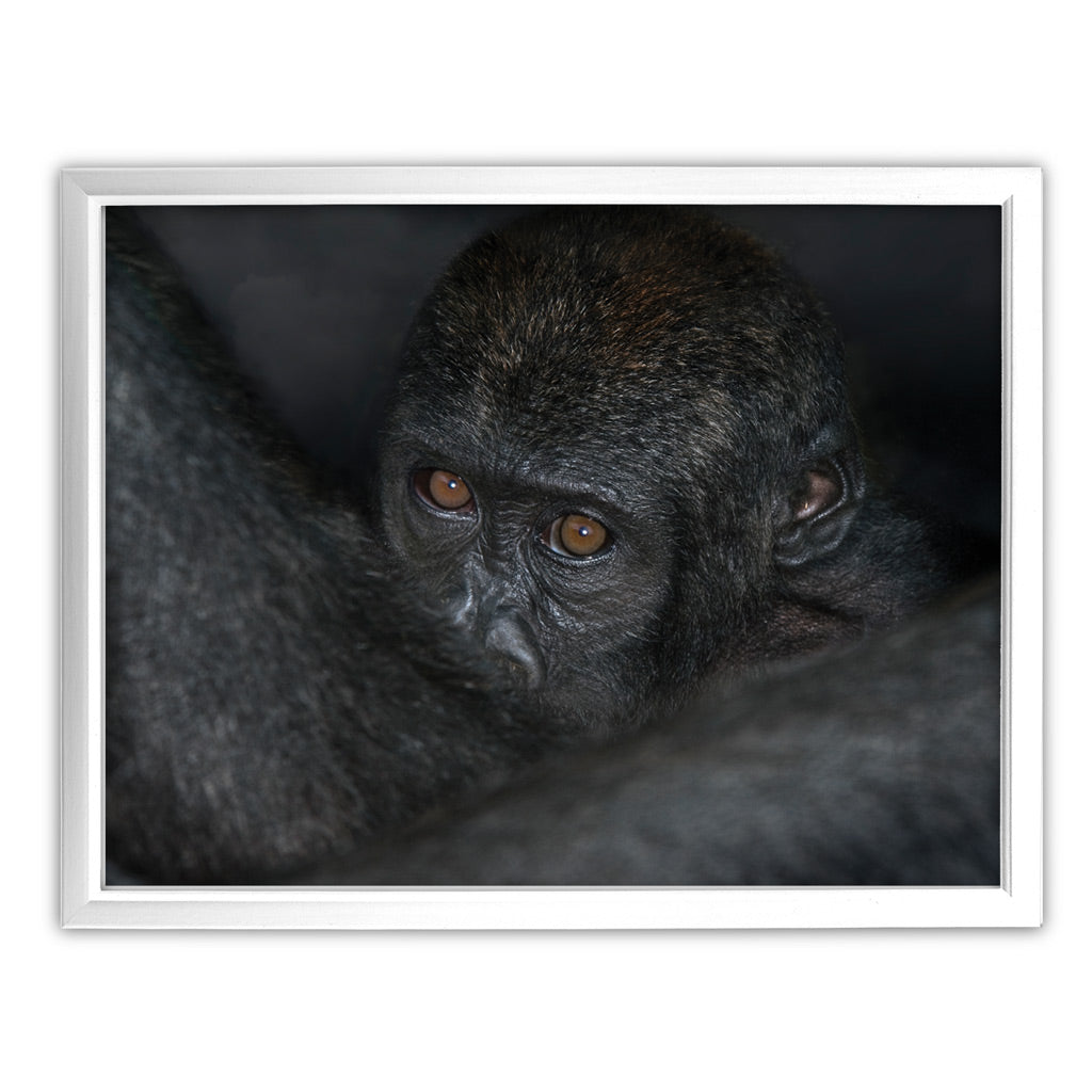 New Beginnings Baby Ape Art Print by George Logan