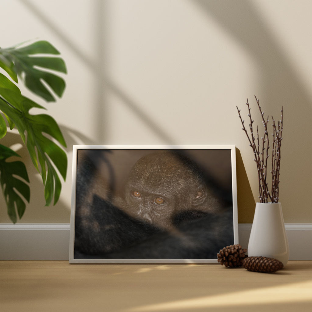New Beginnings Baby Ape Art Print by George Logan