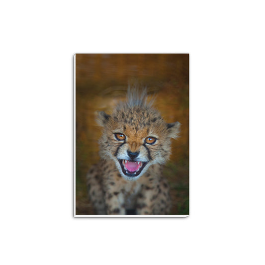 New Beginnings Cheetah Cub A5 Notepad by George Logan