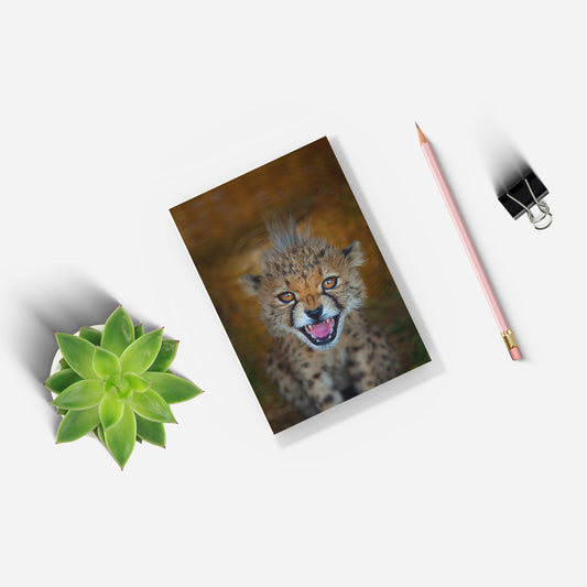 New Beginnings Cheetah Cub A5 Notepad by George Logan