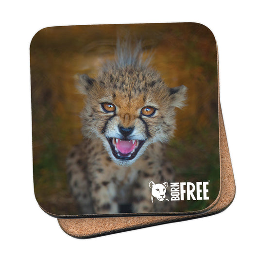 New Beginnings Cheetah Cub Coaster by George Logan