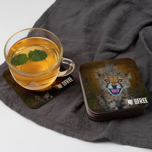 New Beginnings Cheetah Cub Coaster by George Logan