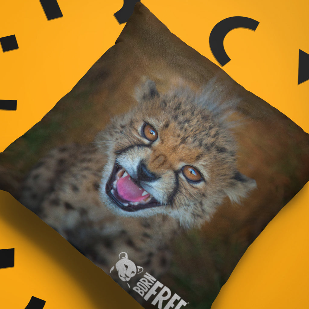 New Beginnings Cheetah Cub Organic Cushion by George Logan