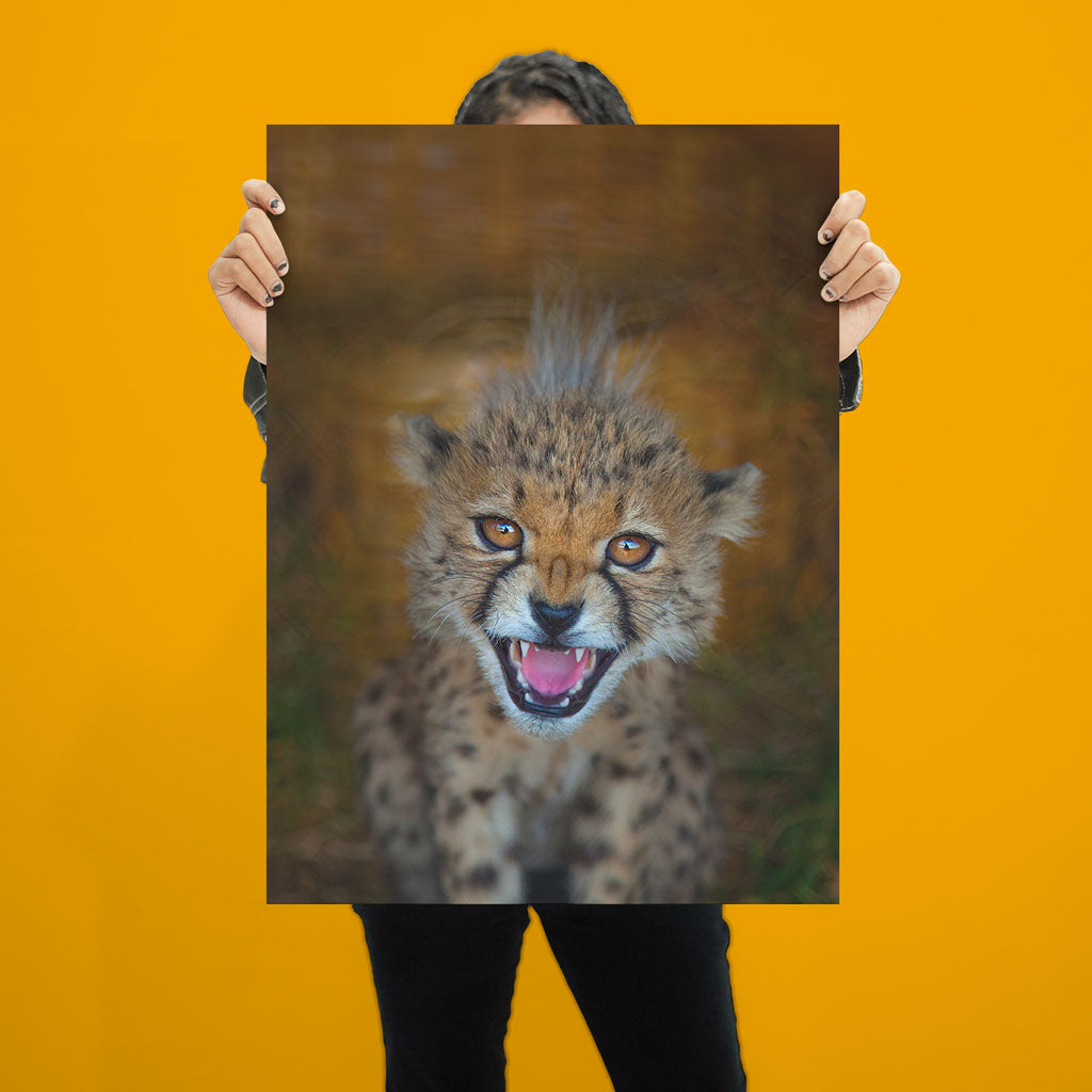 New Beginnings Cheetah Cub Art Print by George Logan