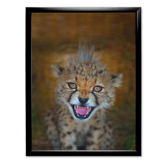New Beginnings Cheetah Cub Art Print by George Logan