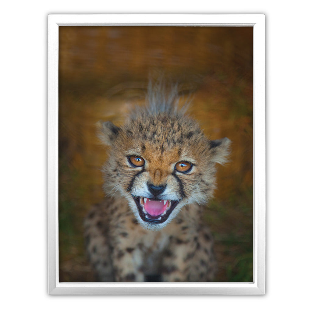 New Beginnings Cheetah Cub Art Print by George Logan