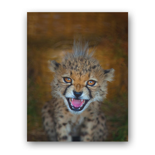New Beginnings Cheetah Cub Art Print by George Logan