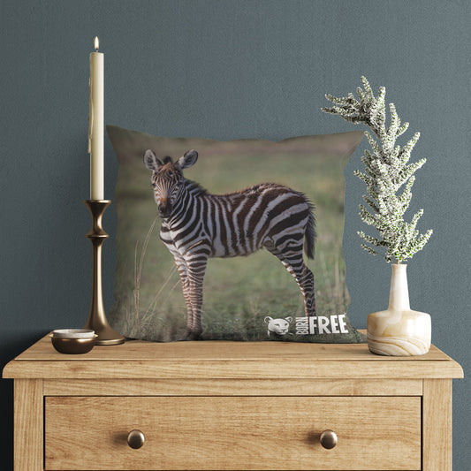 New Beginnings Zebra Foal Organic Cushion by George Logan