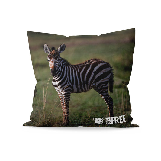 New Beginnings Zebra Foal Organic Cushion by George Logan
