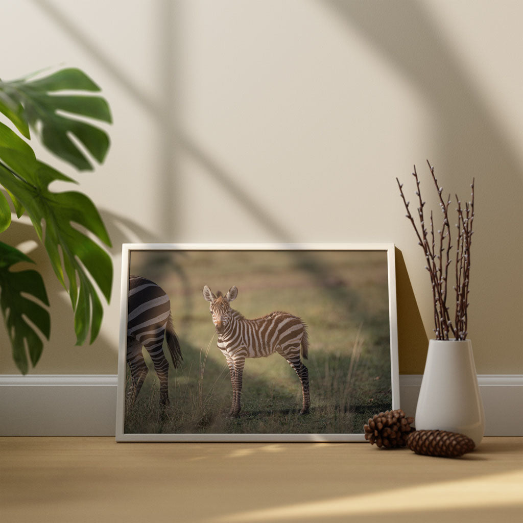 New Beginnings Zebra Foal Art Print by George Logan