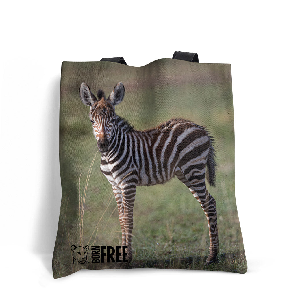 New Beginnings Zebra Foal Tote Bag by George Logan