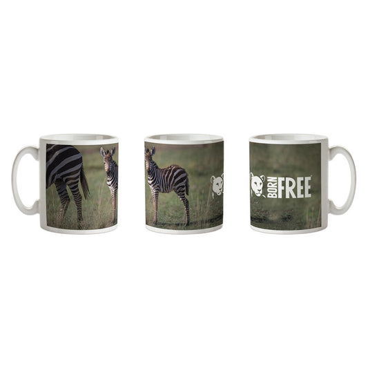 New Beginnings Zebra Foal Mug by George Logan